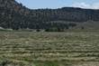 7515 Lone Pine Road, Terrebonne, OR 97760