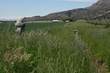 7515 Lone Pine Road, Terrebonne, OR 97760