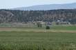 7515 Lone Pine Road, Terrebonne, OR 97760
