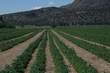 7515 Lone Pine Road, Terrebonne, OR 97760