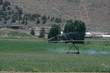 7515 Lone Pine Road, Terrebonne, OR 97760
