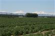 7515  Lone Pine Road , Terrebonne, OR