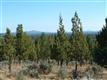    , Bend, OR
