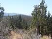 1658 NW Wild Rye Circ, Bend, OR 97701
