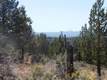 1658 NW Wild Rye Circ, Bend, OR 97701