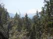 1658 NW Wild Rye Circ, Bend, OR 97701