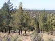1658 NW Wild Rye Circ, Bend, OR 97701