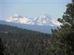 1658 NW Wild Rye Circ 
