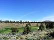16881 SW Brasada Ranch Road, Powell Butte, OR 97753