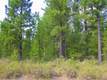15948 Lava Dr, La Pine, OR 97739