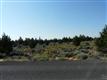    , Culver, OR