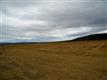    , Powell Butte, OR