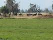 12205 SW Houston Lake Road, Powell Butte, OR 97753
