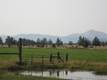 12205 SW Houston Lake Road, Powell Butte, OR 97753
