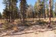 208 Fireglass Loop, Bend, OR 97707