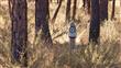 208  Fireglass Loop , Bend, OR