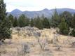 17873 SW Chaparral Dr , Powell Butte, OR