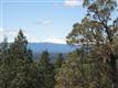 15121 SW Hat Rock Loop , Powell Butte, OR