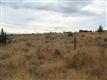 16435 SW Brasada Ranch Road 