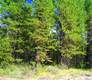 56410 Caribou Dr, Bend, OR 97707