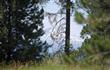    , Bend, OR