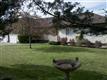 7997 SW Costanoan St 