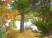 16715 Pony Express Way, Bend, OR 97707