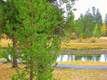 16715 Pony Express Way, Bend, OR 97707