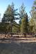 3516 NW Mccready Dr, Bend, OR 97701