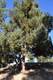 3516 NW Mccready Dr, Bend, OR 97701