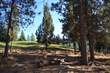 3516 NW Mccready Dr, Bend, OR 97701