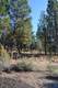 3516 NW Mccready Dr, Bend, OR 97701