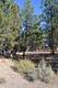 3516 NW Mccready Dr, Bend, OR 97701