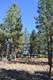 3516 NW Mccready Dr, Bend, OR 97701