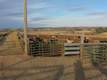 2601 Grove School Lane, Vale, OR 97918