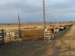 2601 Grove School Lane, Vale, OR 97918