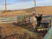 2601 Grove School Lane, Vale, OR 97918