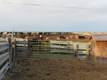 2601 Grove School Lane, Vale, OR 97918