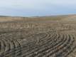 2601 Grove School Lane, Vale, OR 97918