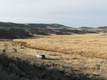 2601 Grove School Lane, Vale, OR 97918