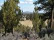 1620 NW Wild Rye Circ, Bend, OR 97701