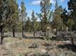 1620 NW Wild Rye Circ, Bend, OR 97701