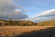 20355 Arrowhead Dr, Bend, OR 97701