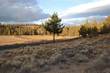 20355 Arrowhead Dr, Bend, OR 97701