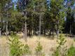 17334 SW kingfisher Dr, Bend, OR 97707