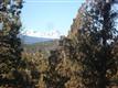 3443 NW Greenleaf Way , Bend, OR