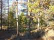 8 Mckenzie Lane, Sunriver, OR 97707