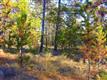 8  McKenzie Lane , Sunriver, OR