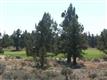 23033  Canyon View Loop , Bend, OR