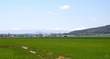 8420 NW Lone Pine Road , Terrebonne, OR